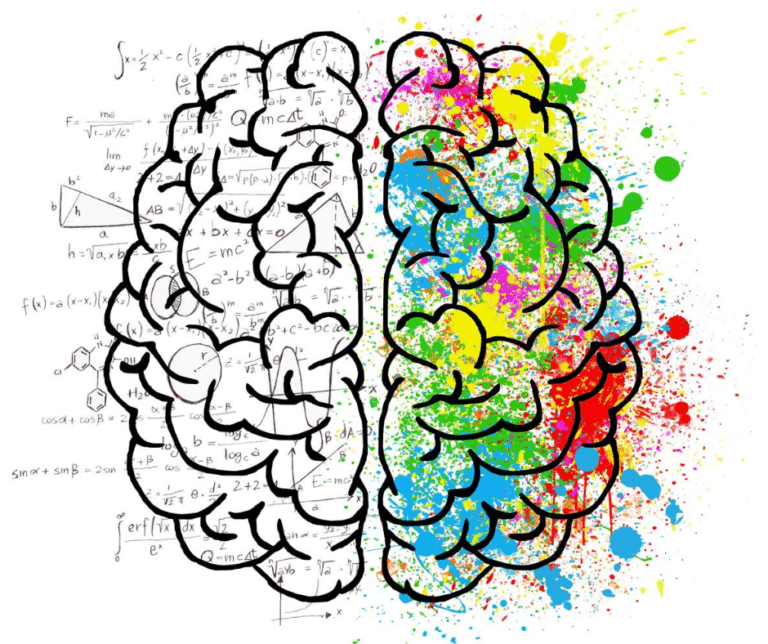 Rozvoj mozku = rozvoj obou hemisfér